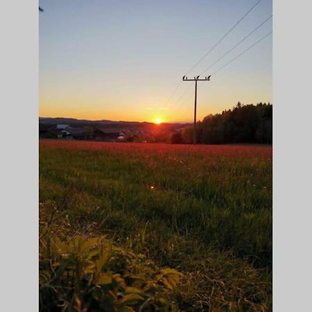 Ferienwohnung Ramona - Idyllisch Und Charmant Kirchdorf im Wald Exterior foto