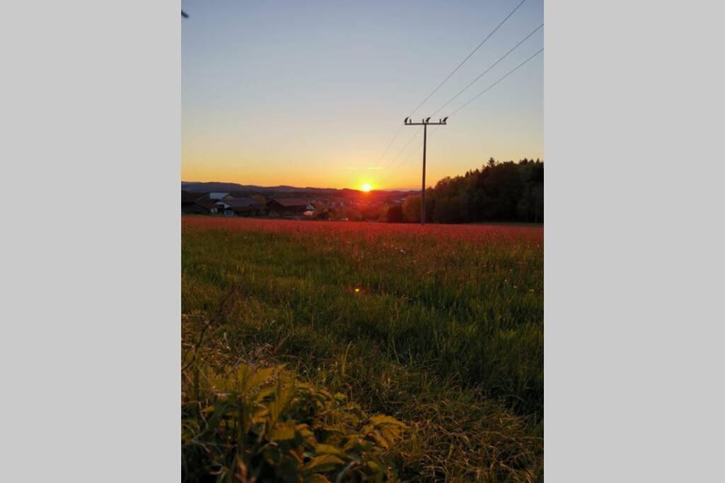 Ferienwohnung Ramona - Idyllisch Und Charmant Kirchdorf im Wald Exterior foto