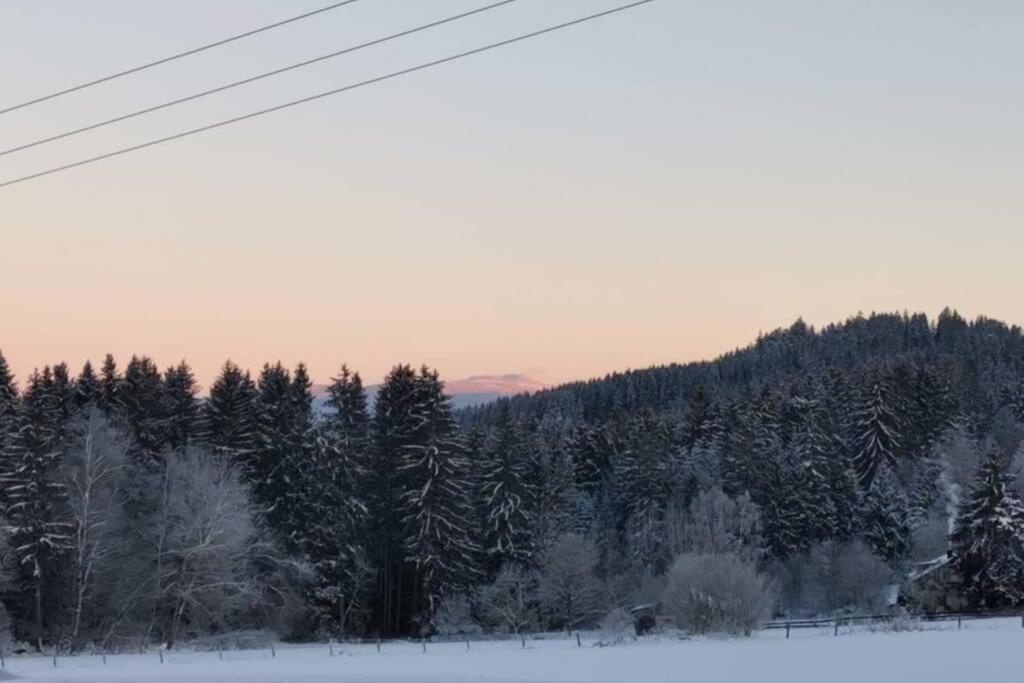 Ferienwohnung Ramona - Idyllisch Und Charmant Kirchdorf im Wald Exterior foto